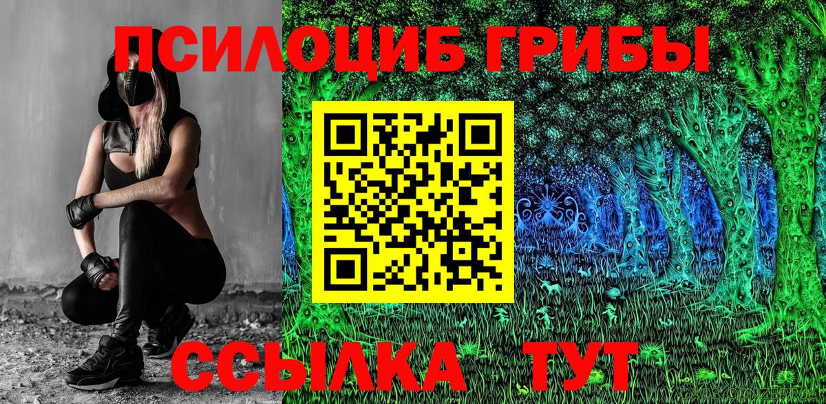 где найти наркотики  Вход с VPN  Конаково  Псилоцибиновые грибы Psilocybe 
